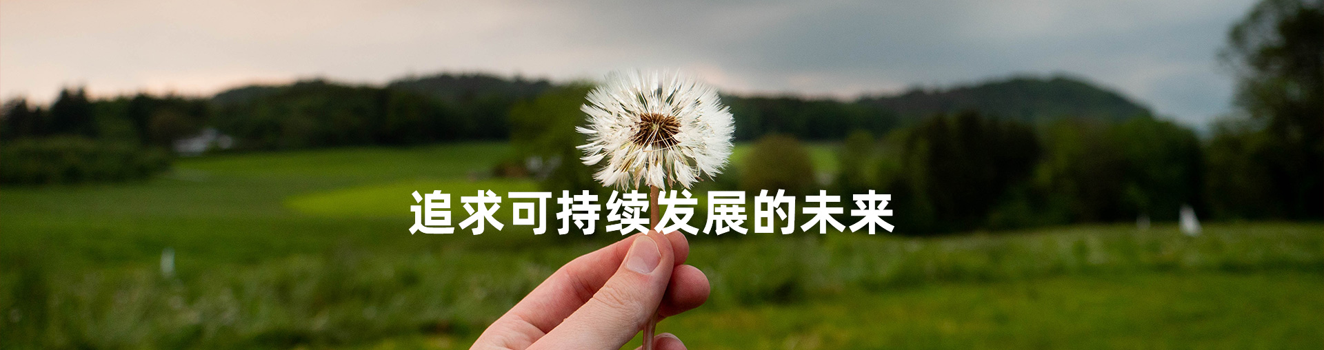 Social responsibility